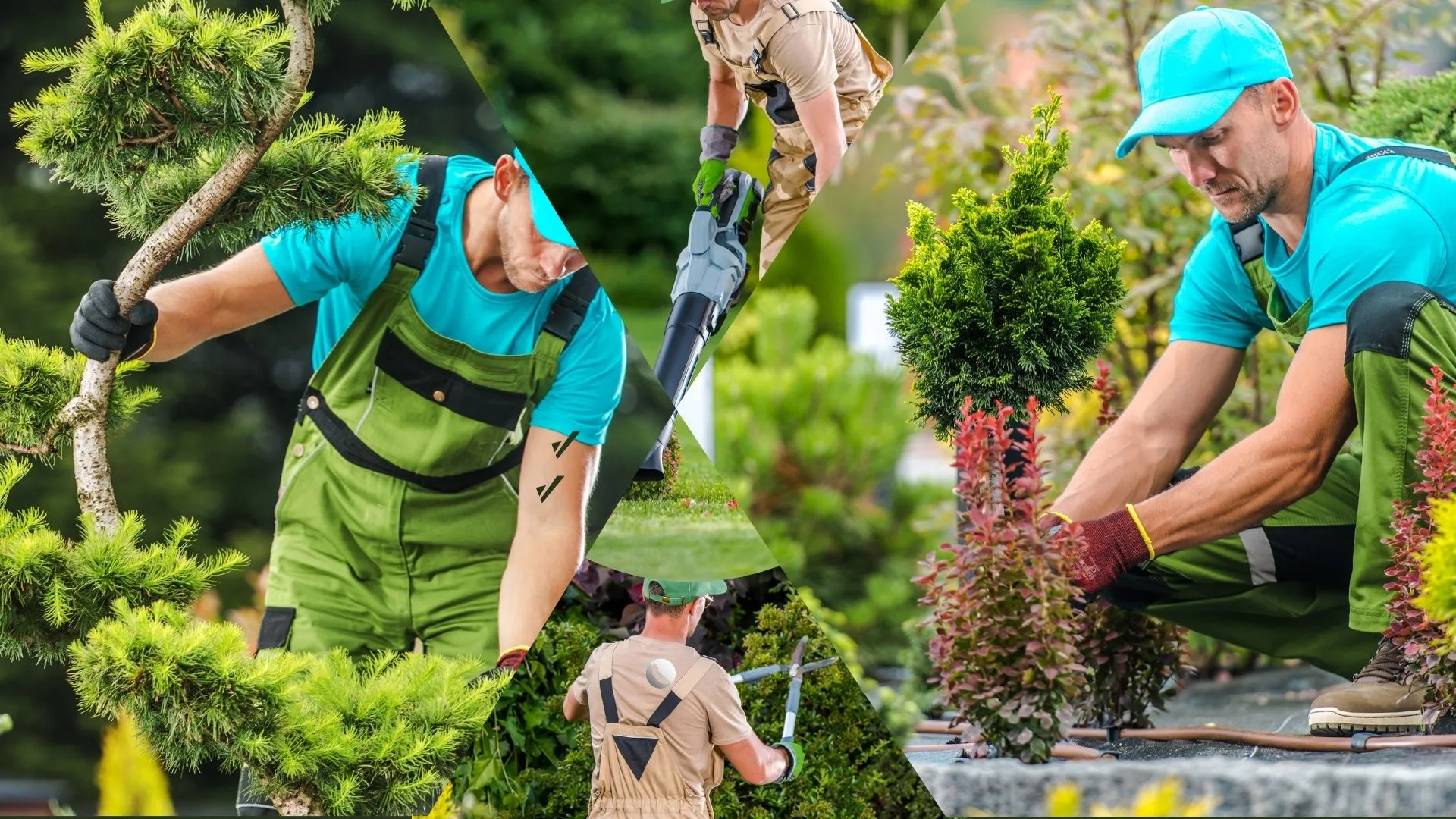 Skilled and Insured Team