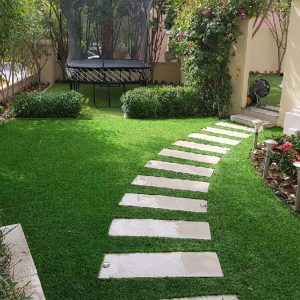 As a full-service lawn and landscaping company we maintain plants, flower, and tree beds; mow, fertilize, and maintain grass; and offer a number of other services that will keep your landscape looking its best.