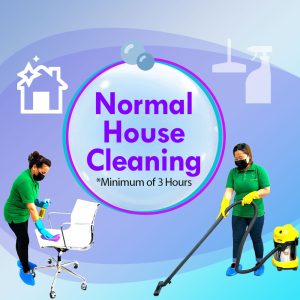 House Cleaning, Cleansers